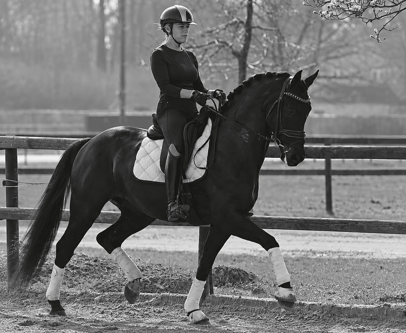 Over Mij - KV Horses