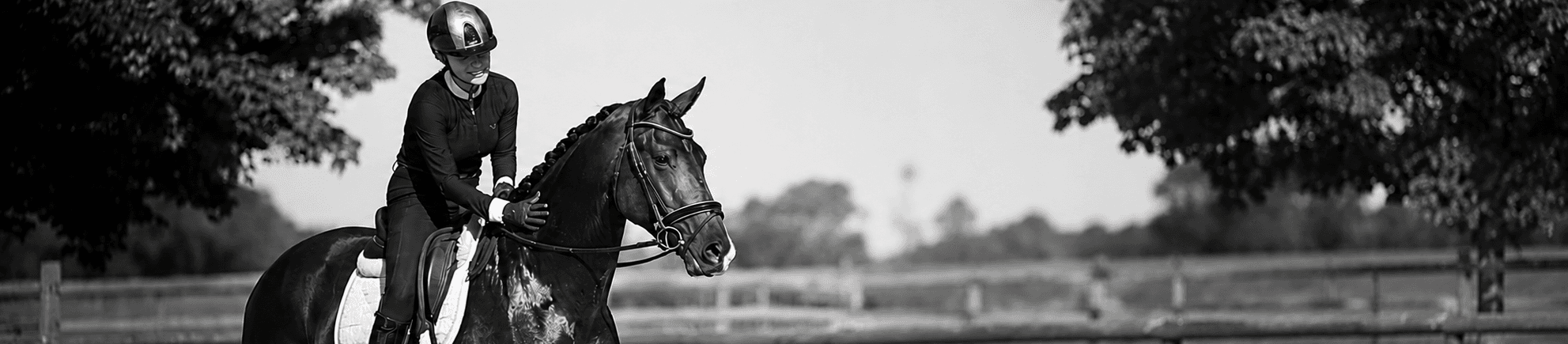 KV Horses
