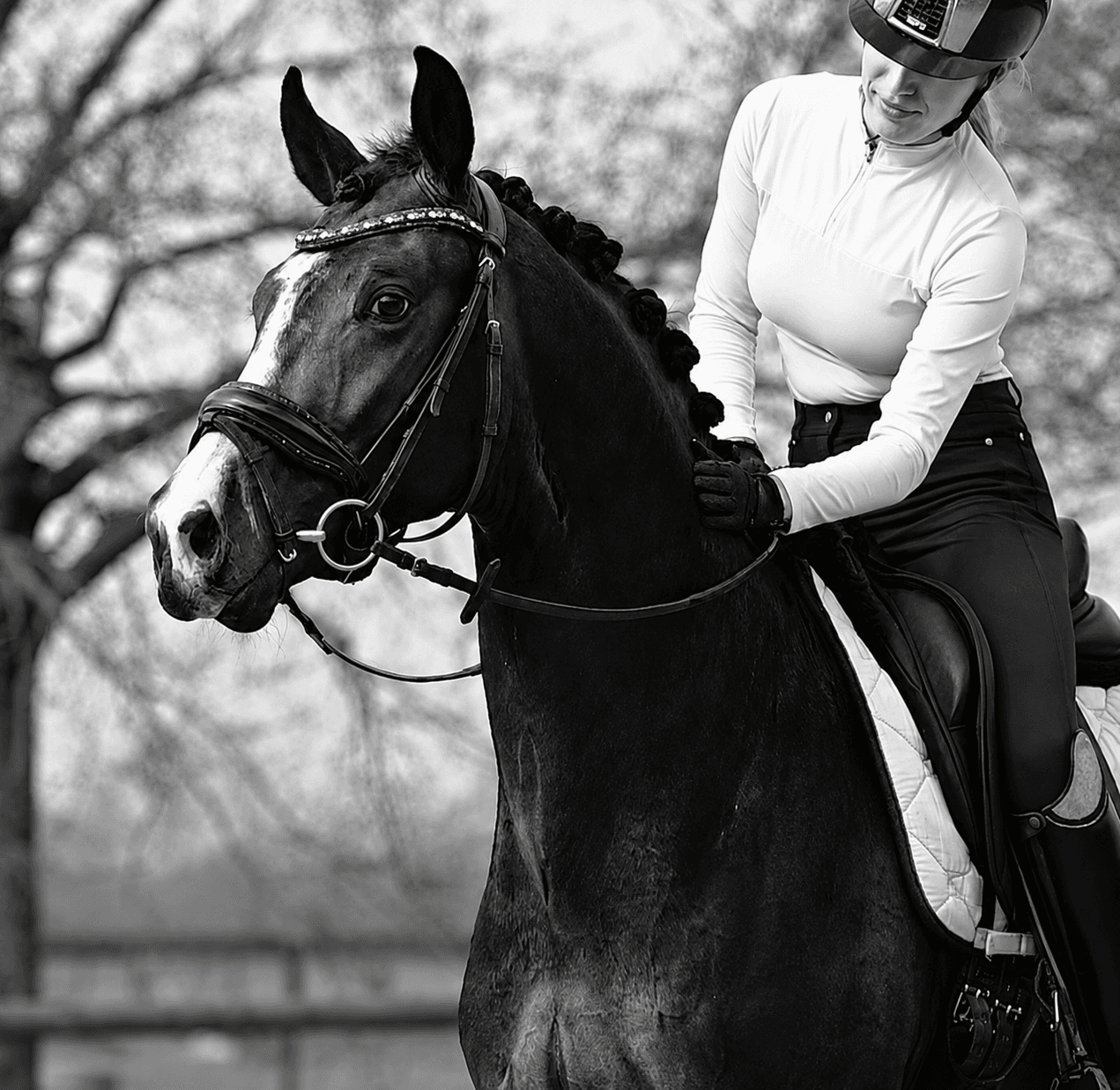 Individuele Begeleiding - KV Horses