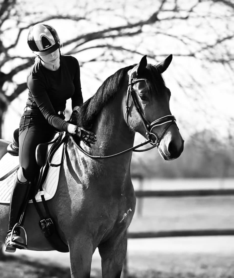 Doortrainen - KV Horses